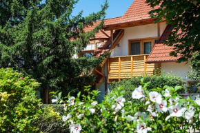 Гостиница ALina Apartmanház  Хевиз